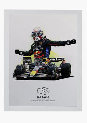 Quadro Max Verstappen São Paulo 2024