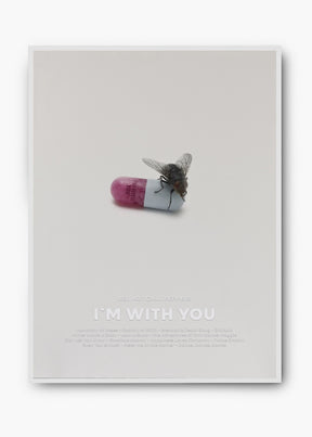 Quadro Red Hot Chili Peppers I'm With You Capa