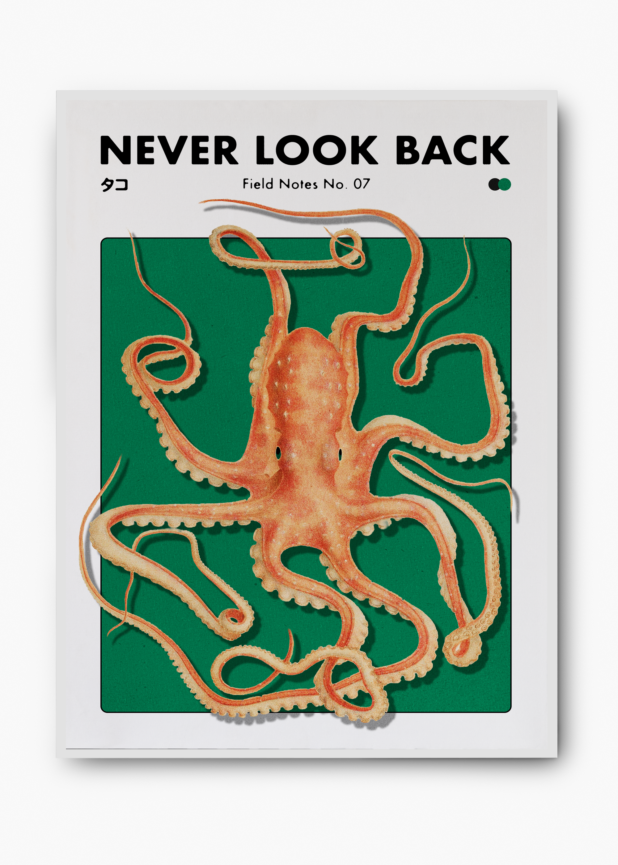 Quadro Never Look Back - 2