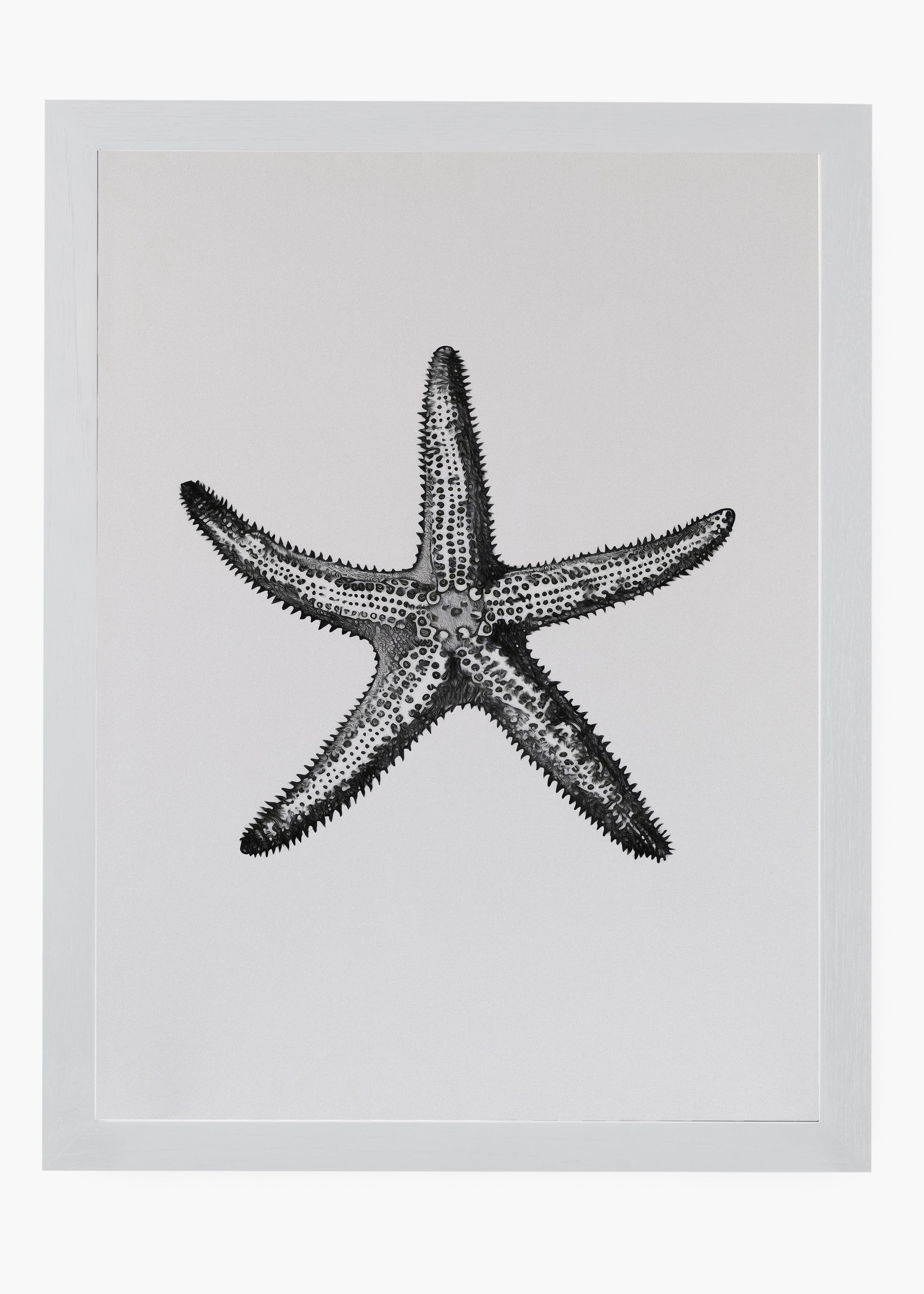 Quadro Starfish