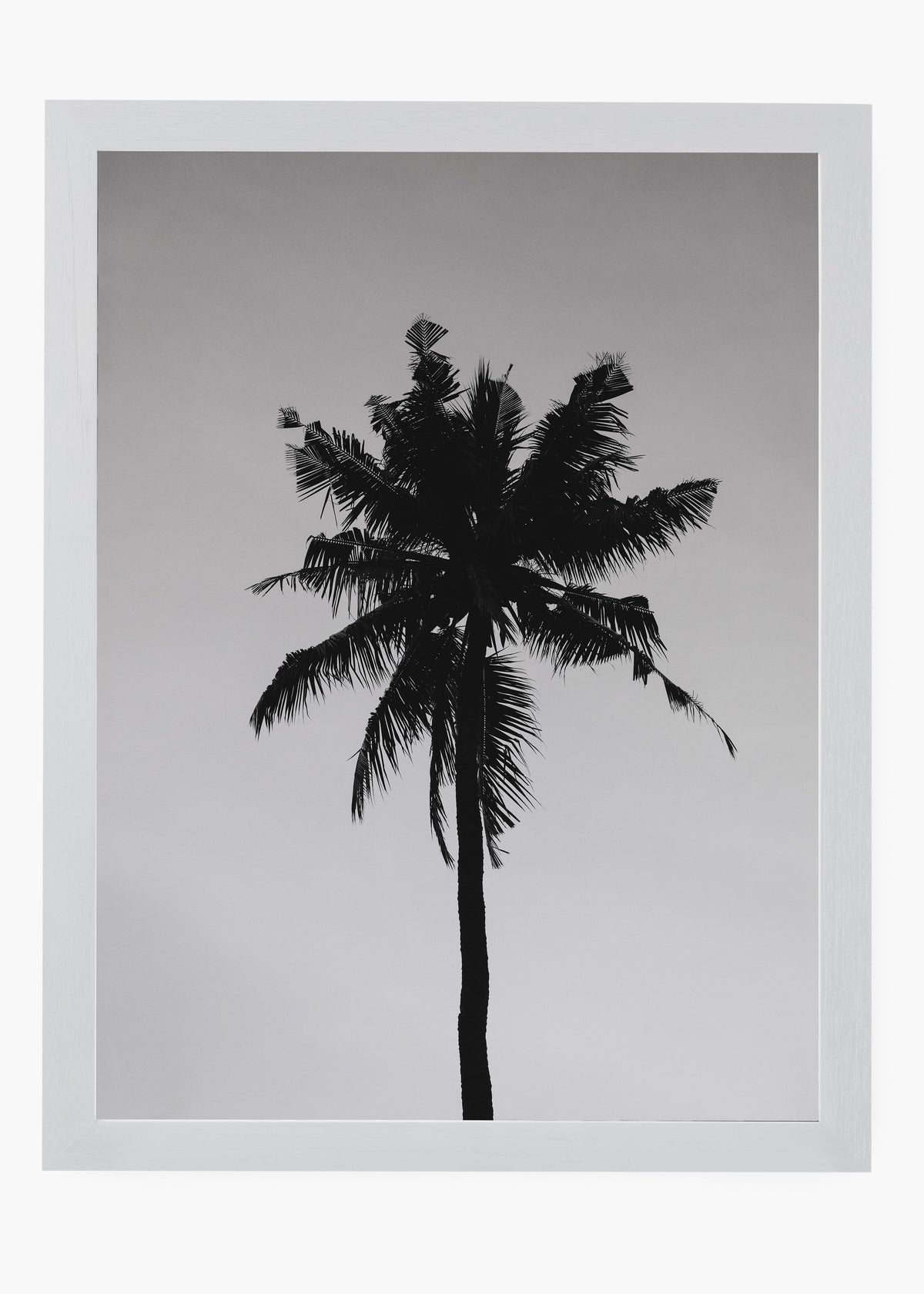 Quadro Sea Nature II