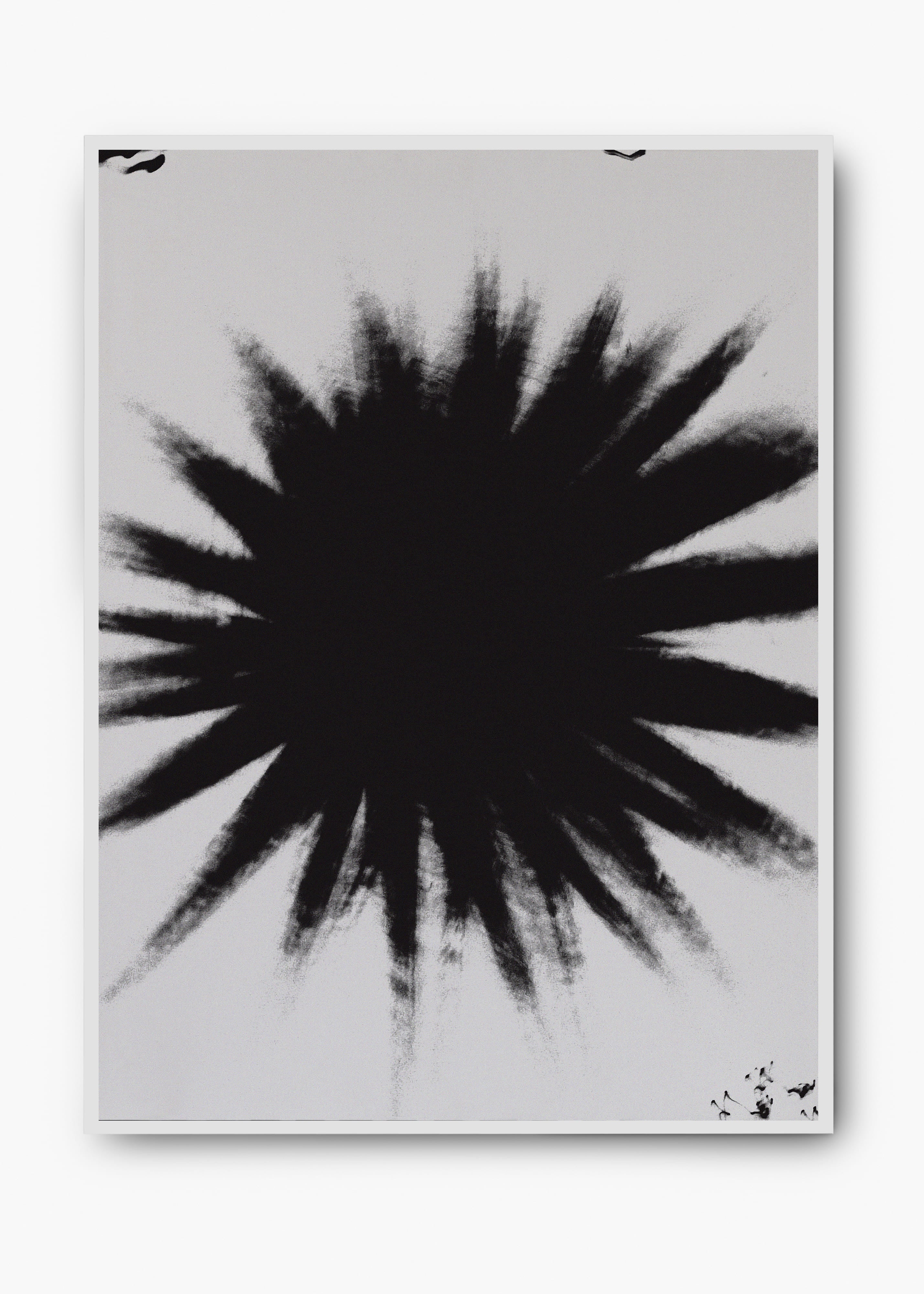 Quadro Star