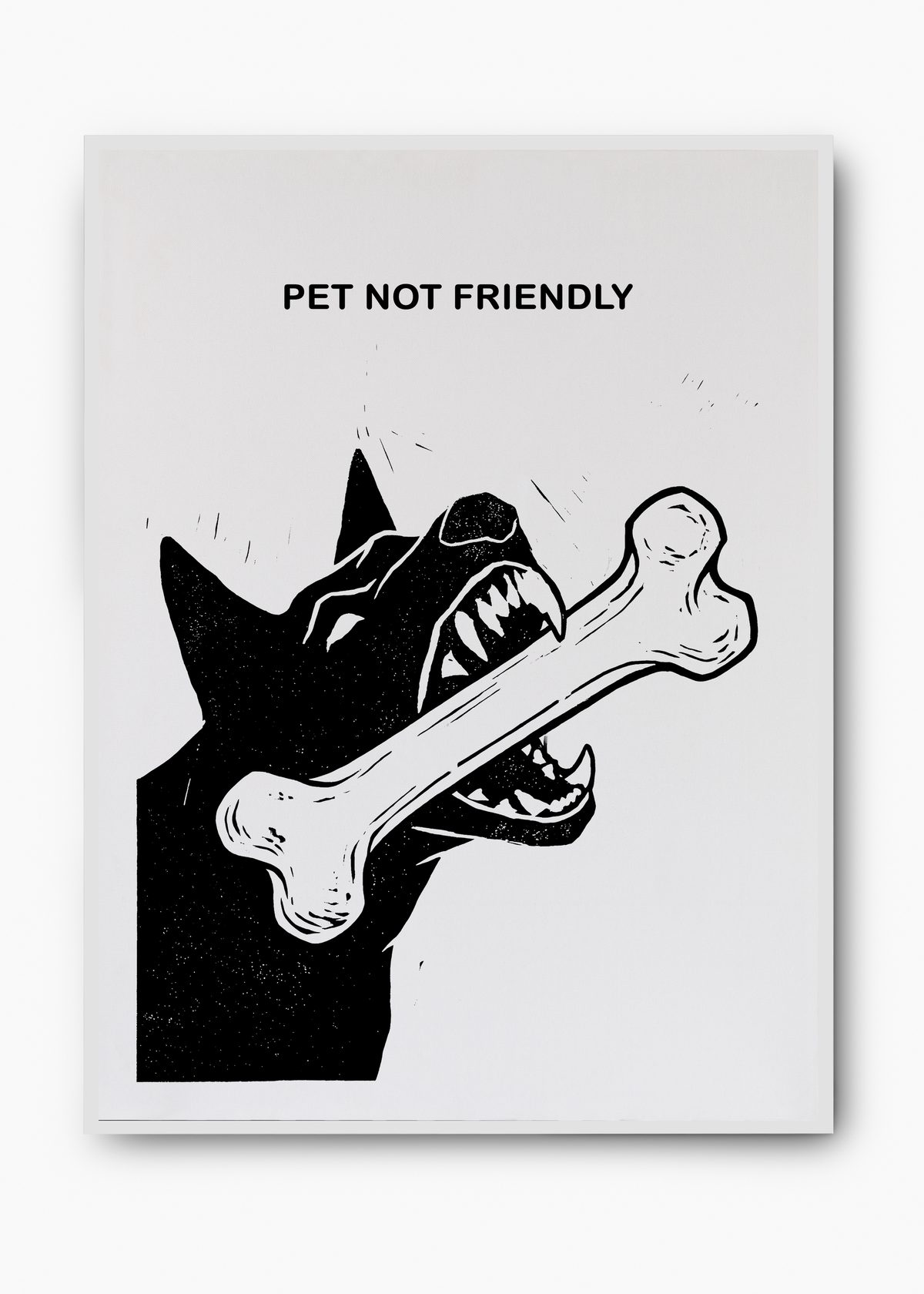 Quadro Pet Not Friendly - 2