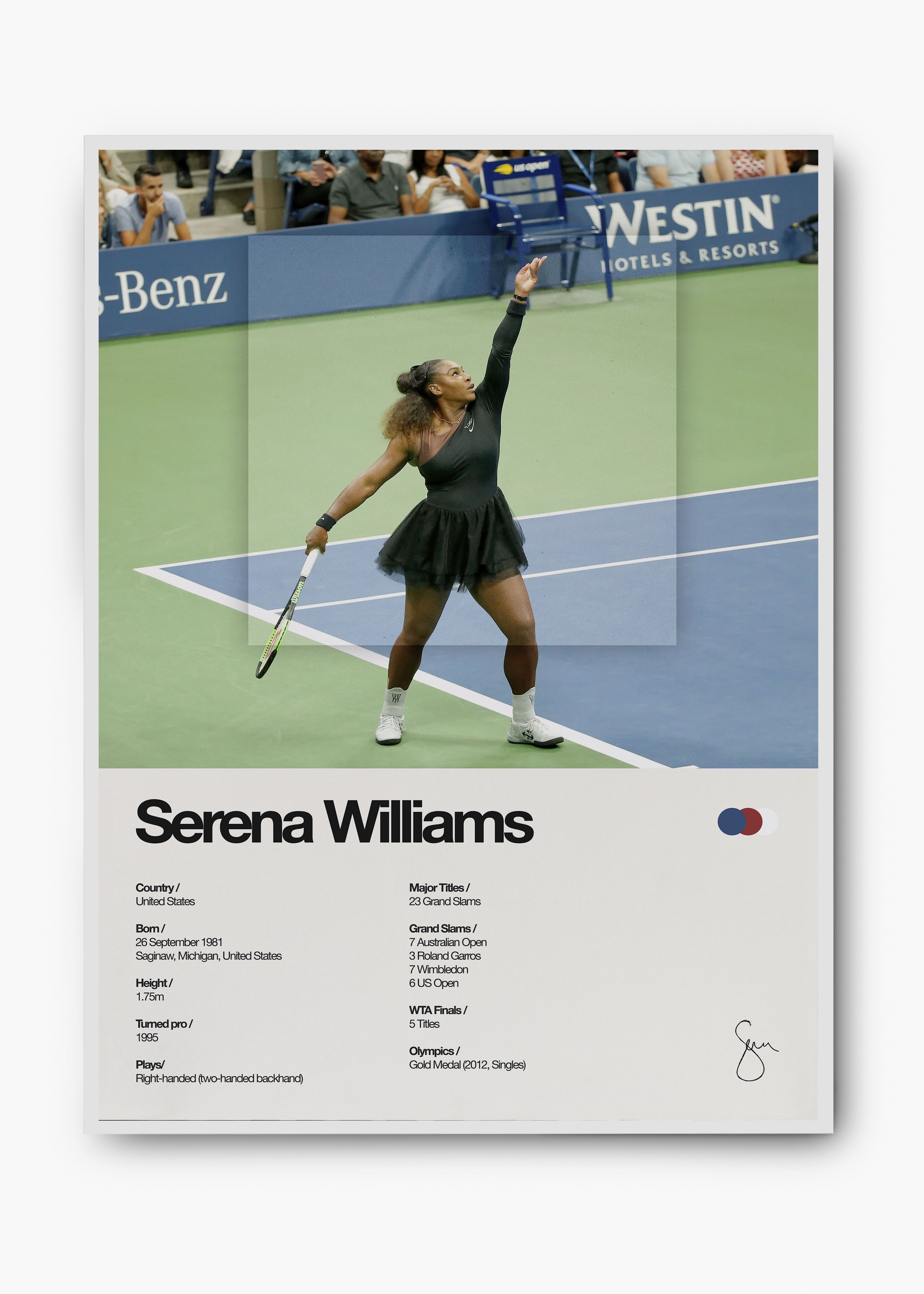 Quadro Serena Williams
