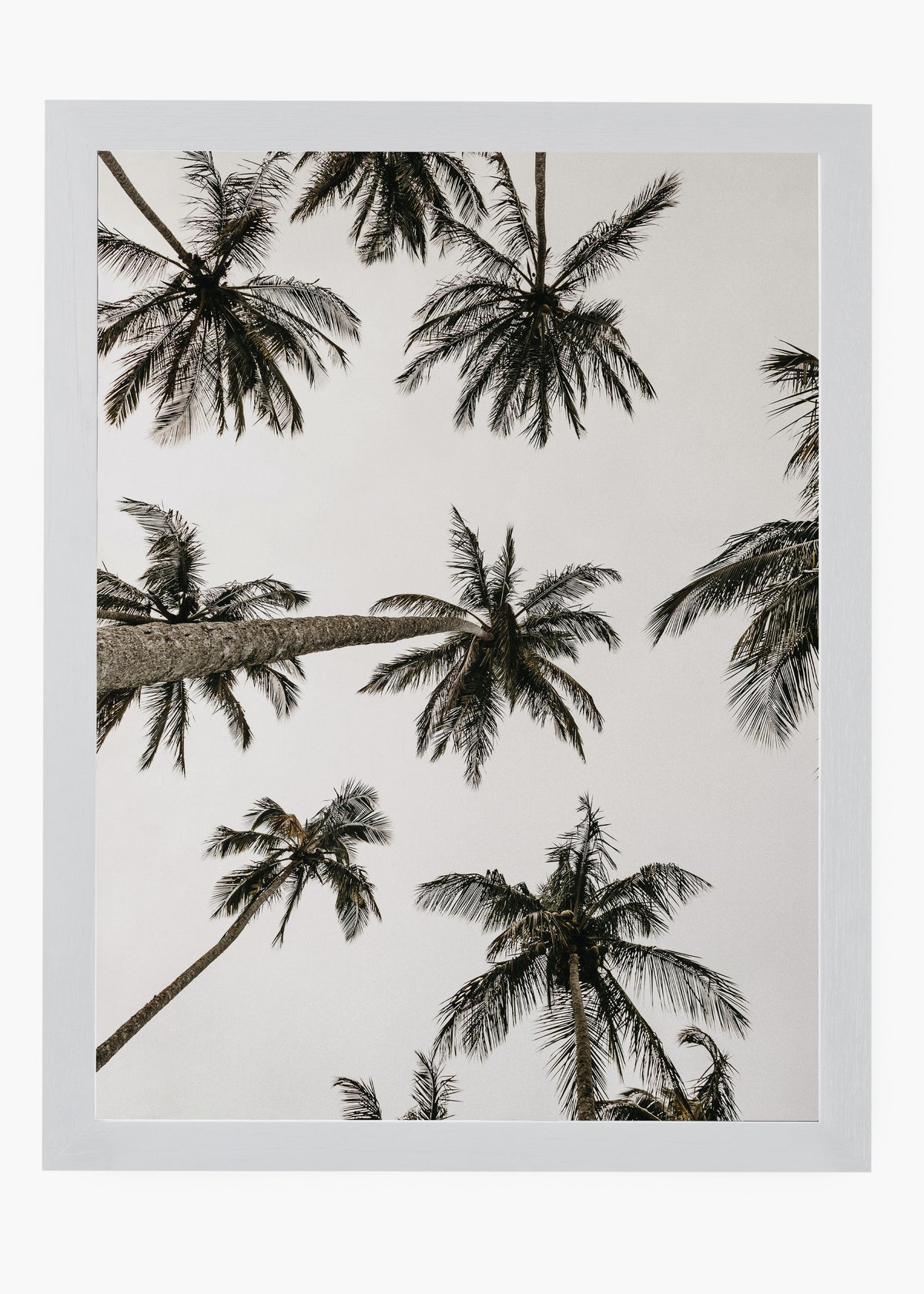 Quadro Sea Nature I