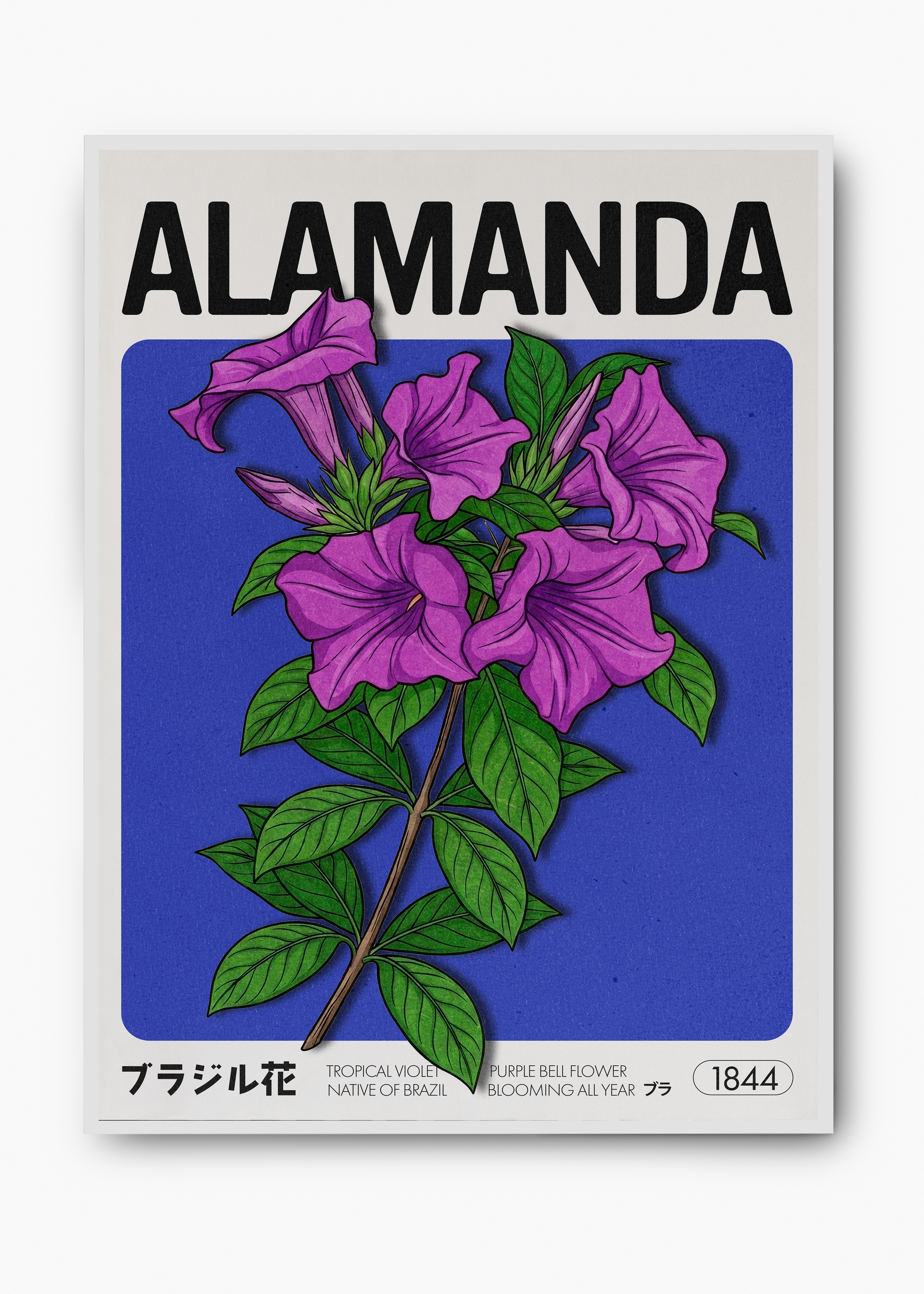 Quadro Alamanda - 2