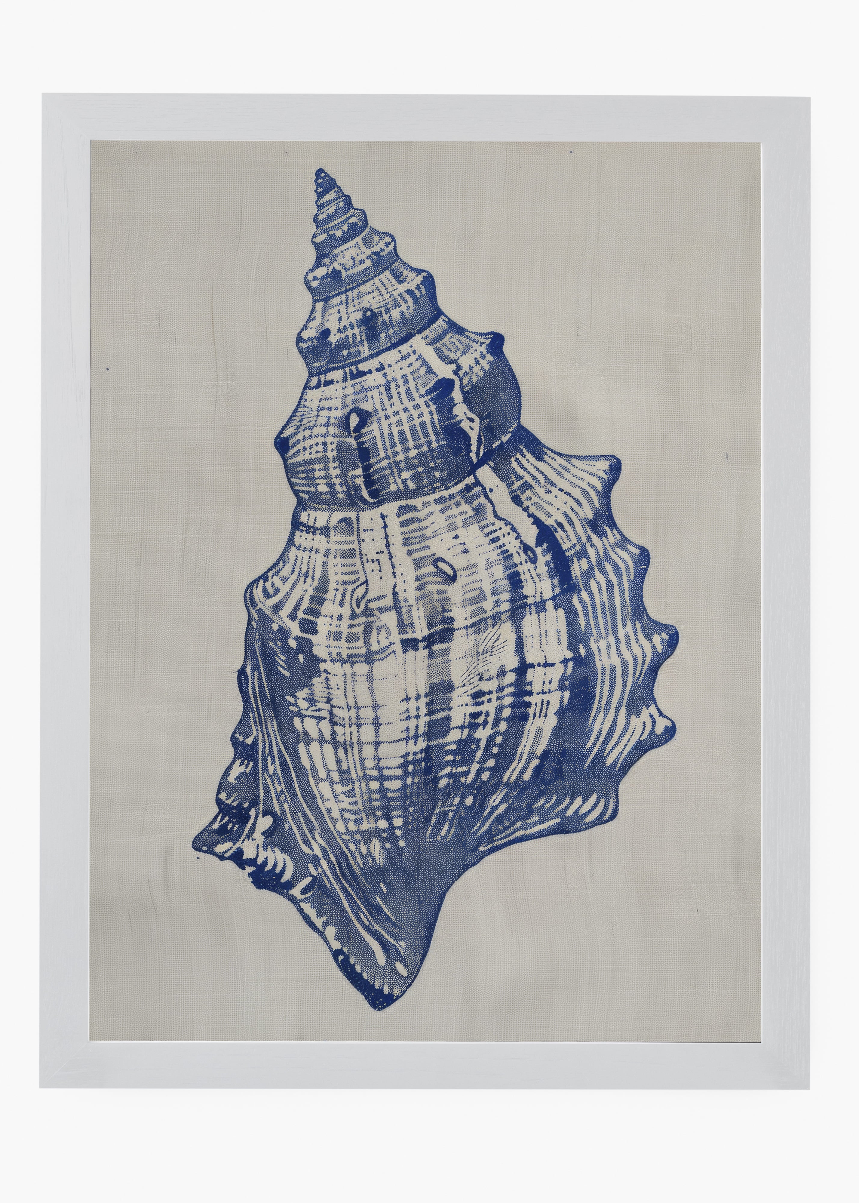 Quadro Shells I