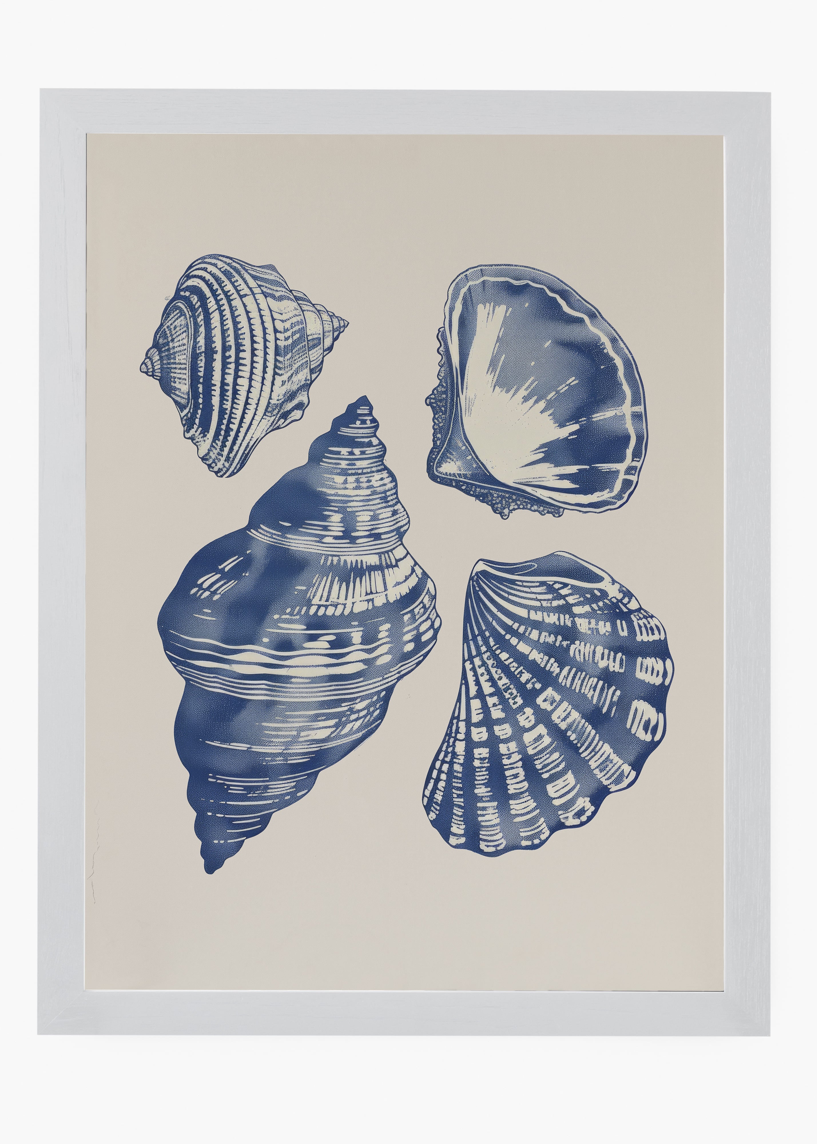 Quadro Shells II