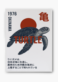 Quadro Japonês Turtle Okinawa - 2