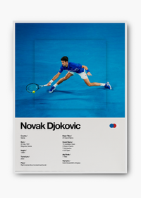 Quadro Novak Djokovic - 2