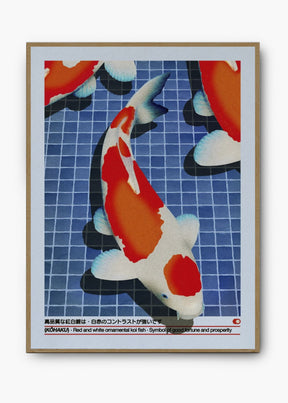 Quadro Koi