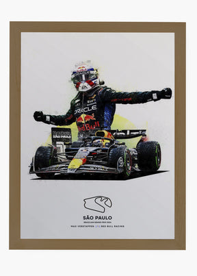 Quadro Max Verstappen São Paulo 2024