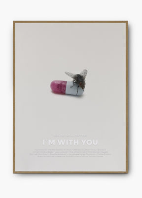 Quadro Red Hot Chili Peppers I'm With You Capa