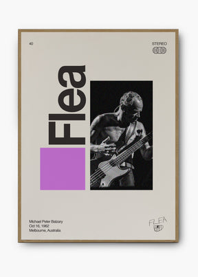 Quadro Signature Flea