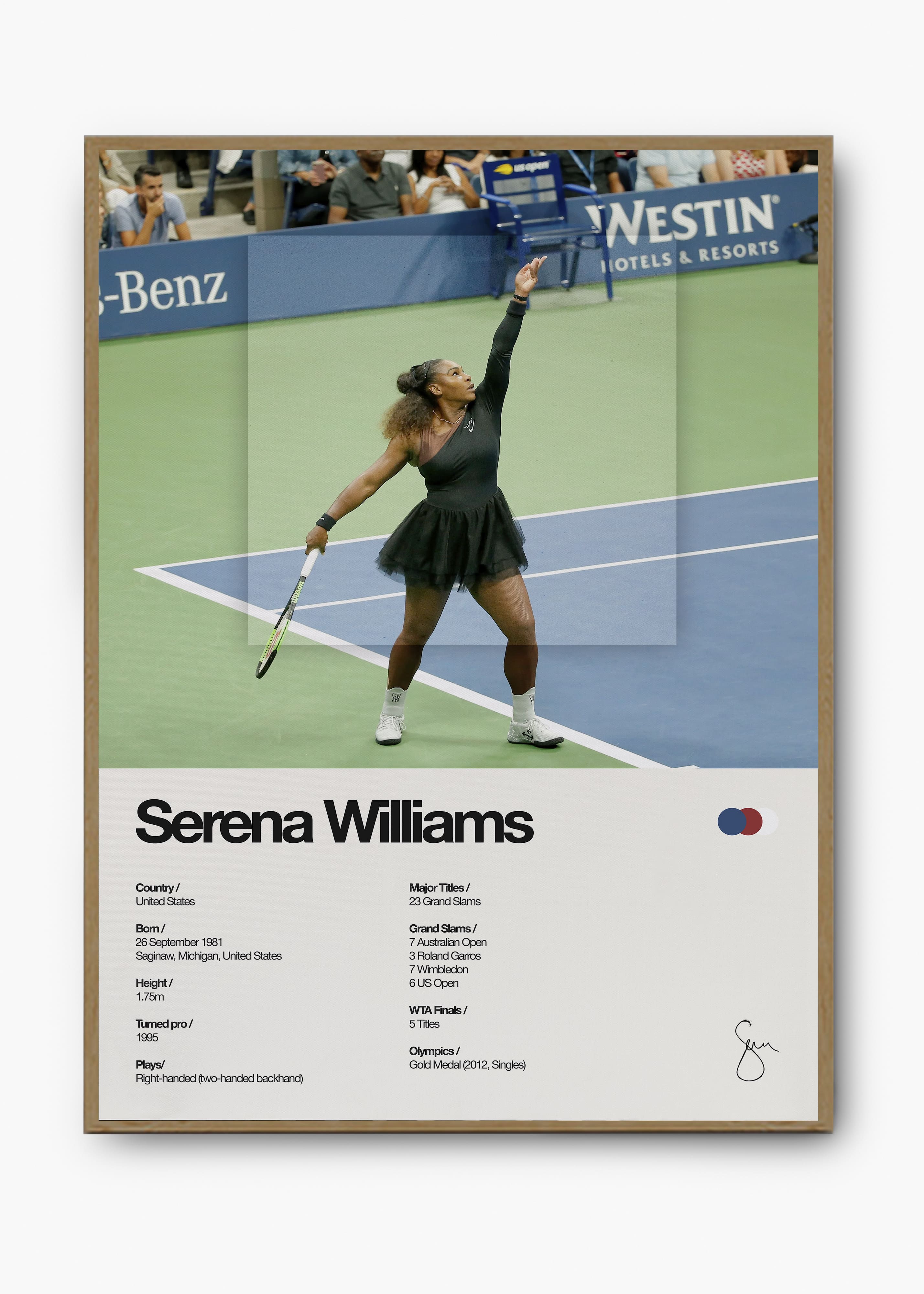 Quadro Serena Williams