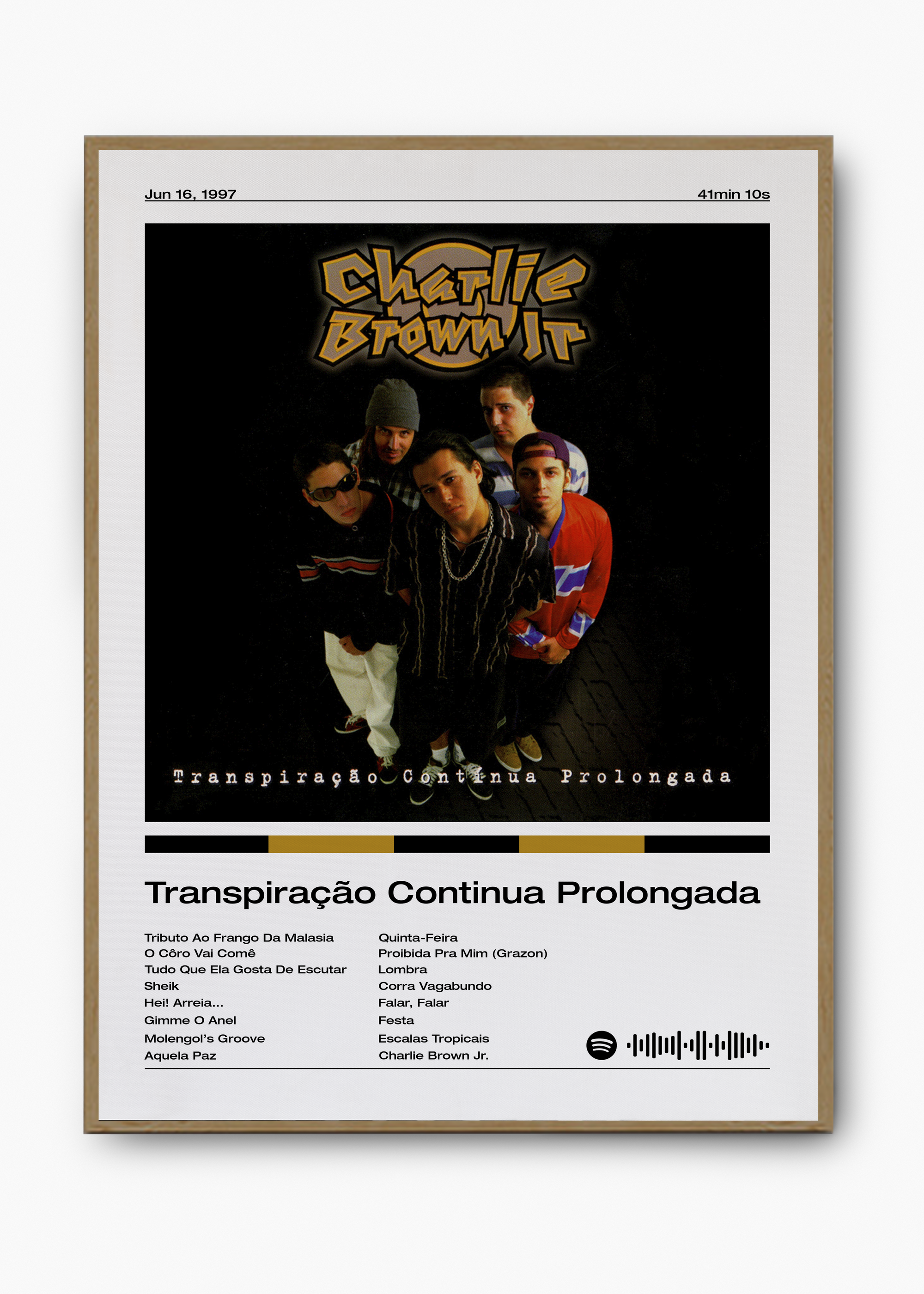 Quadro Charlie Brown Jr. Transpiração Continua Prolongada - 3