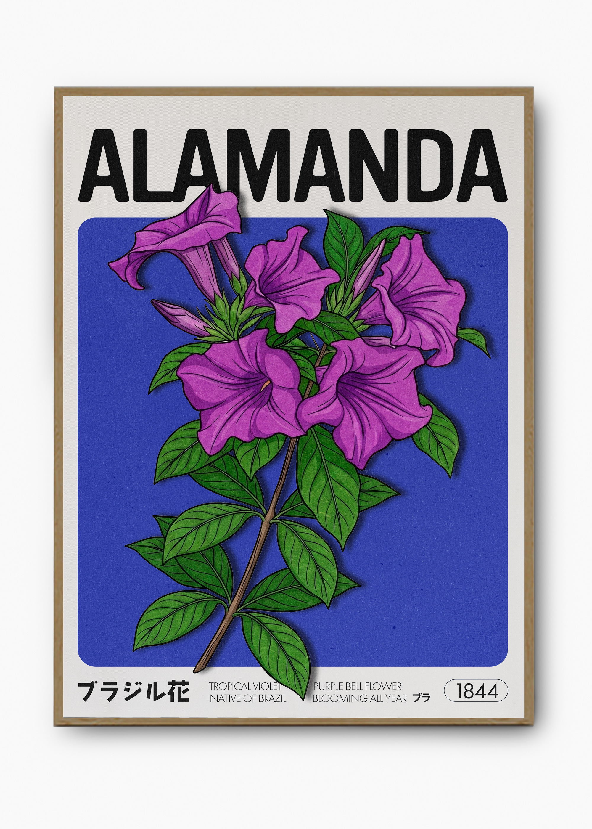 Quadro Alamanda - 3