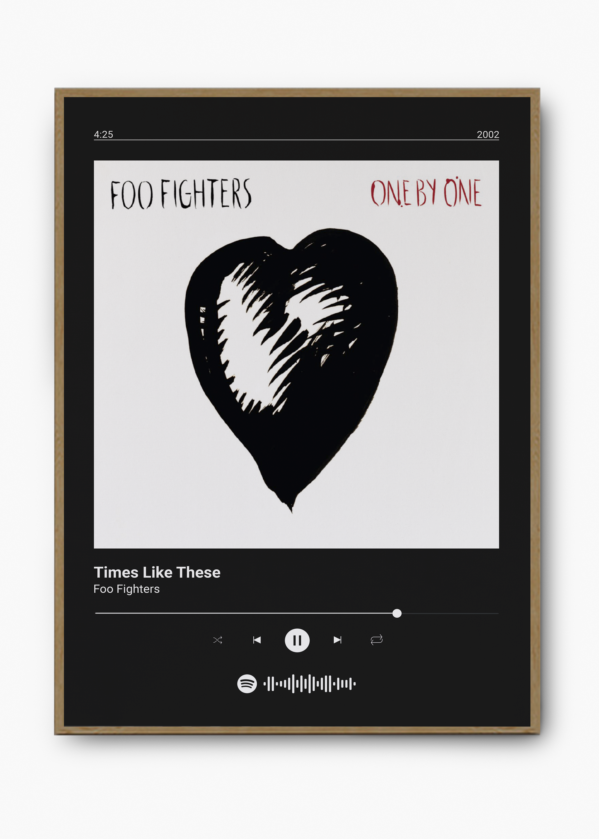 Quadro Foo Fighters Times Like These - 3