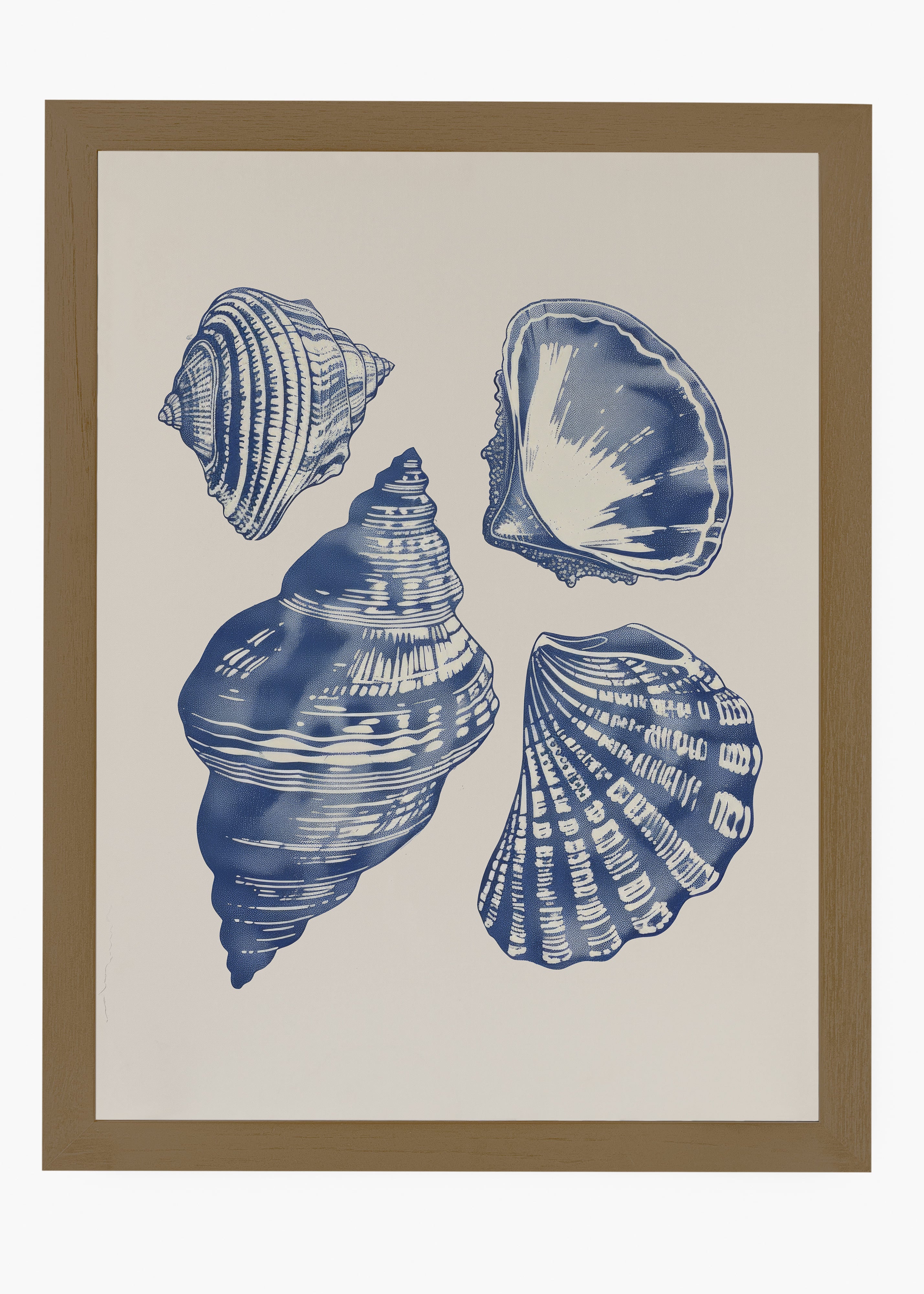 Quadro Shells II