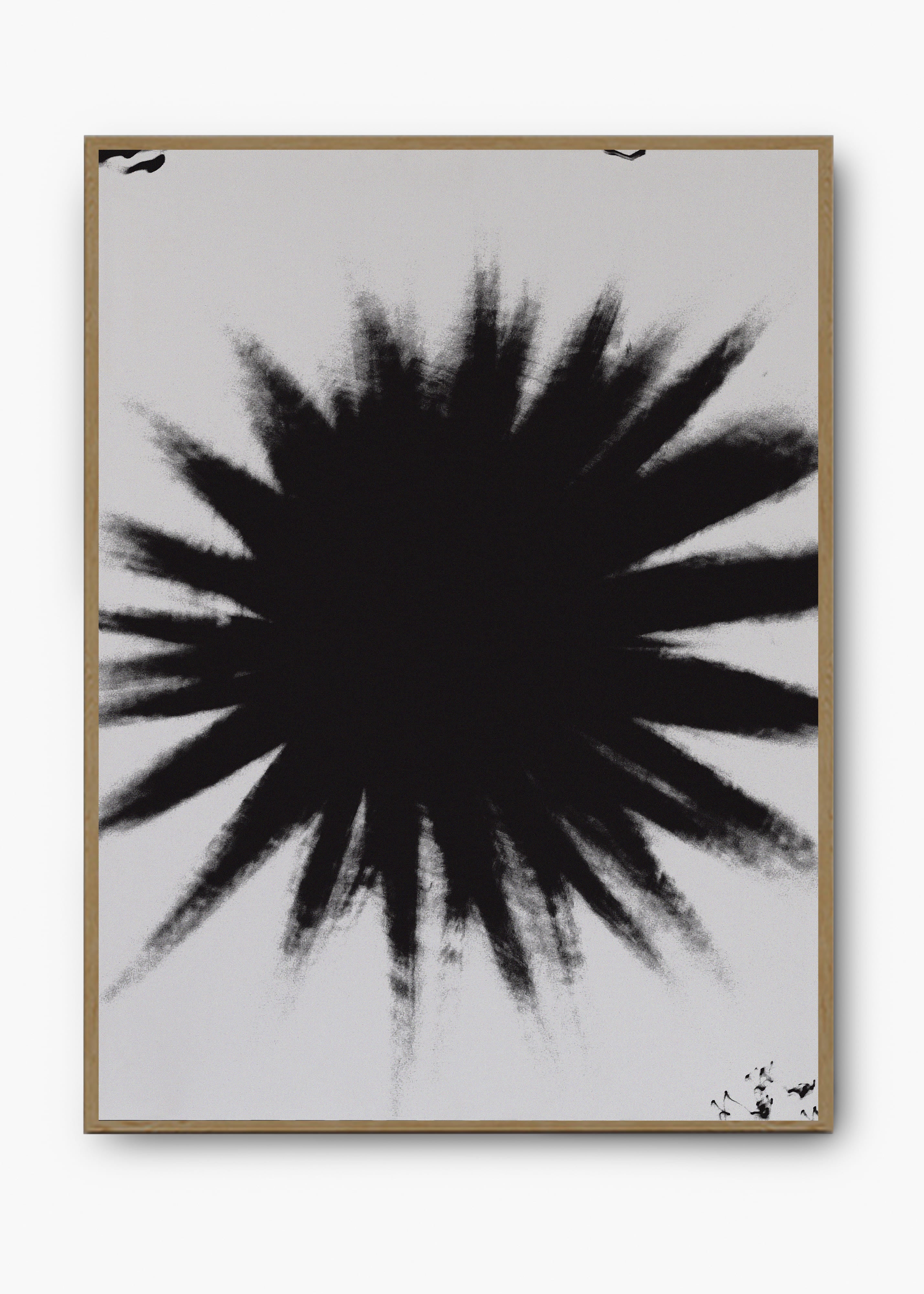 Quadro Star