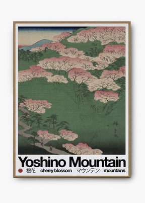 Quadro Mountain Yosh