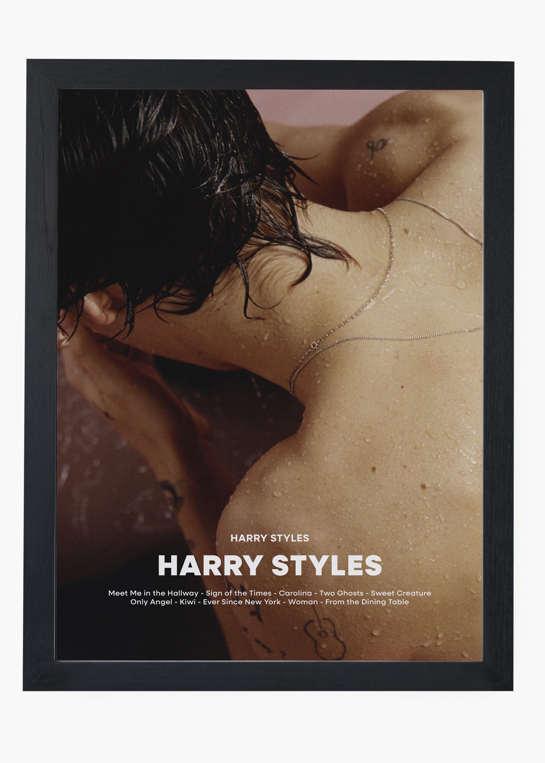 Quadro Harry Styles - Harry Styles Capa