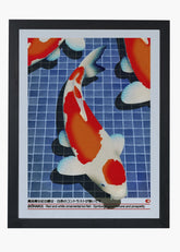 Quadro Koi