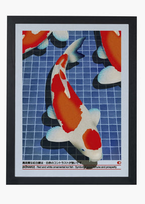 Quadro Koi