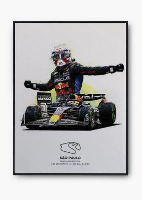 Quadro Max Verstappen São Paulo 2024