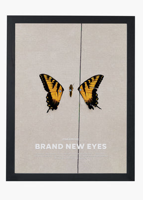 Quadro Paramore Brand New Eyes Capa