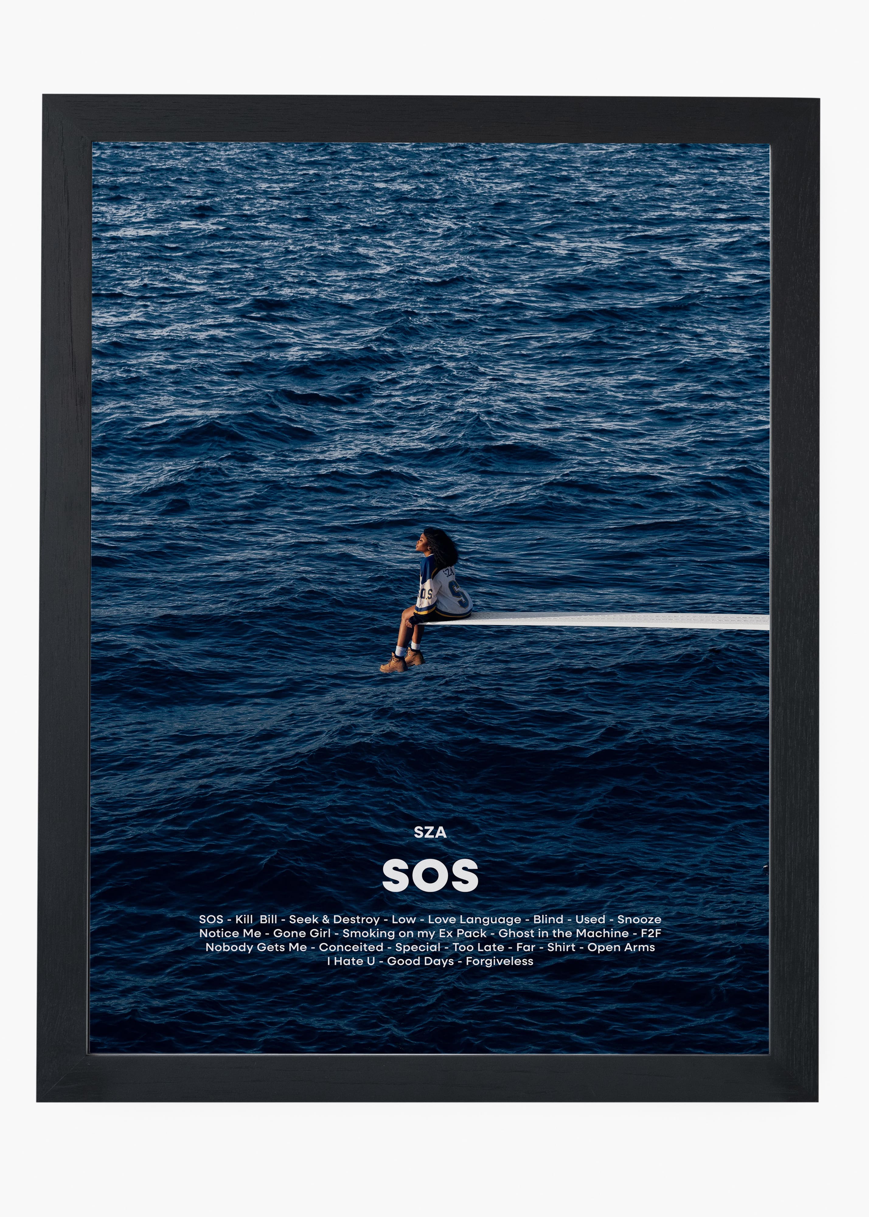 Quadro SZA SOS Capa