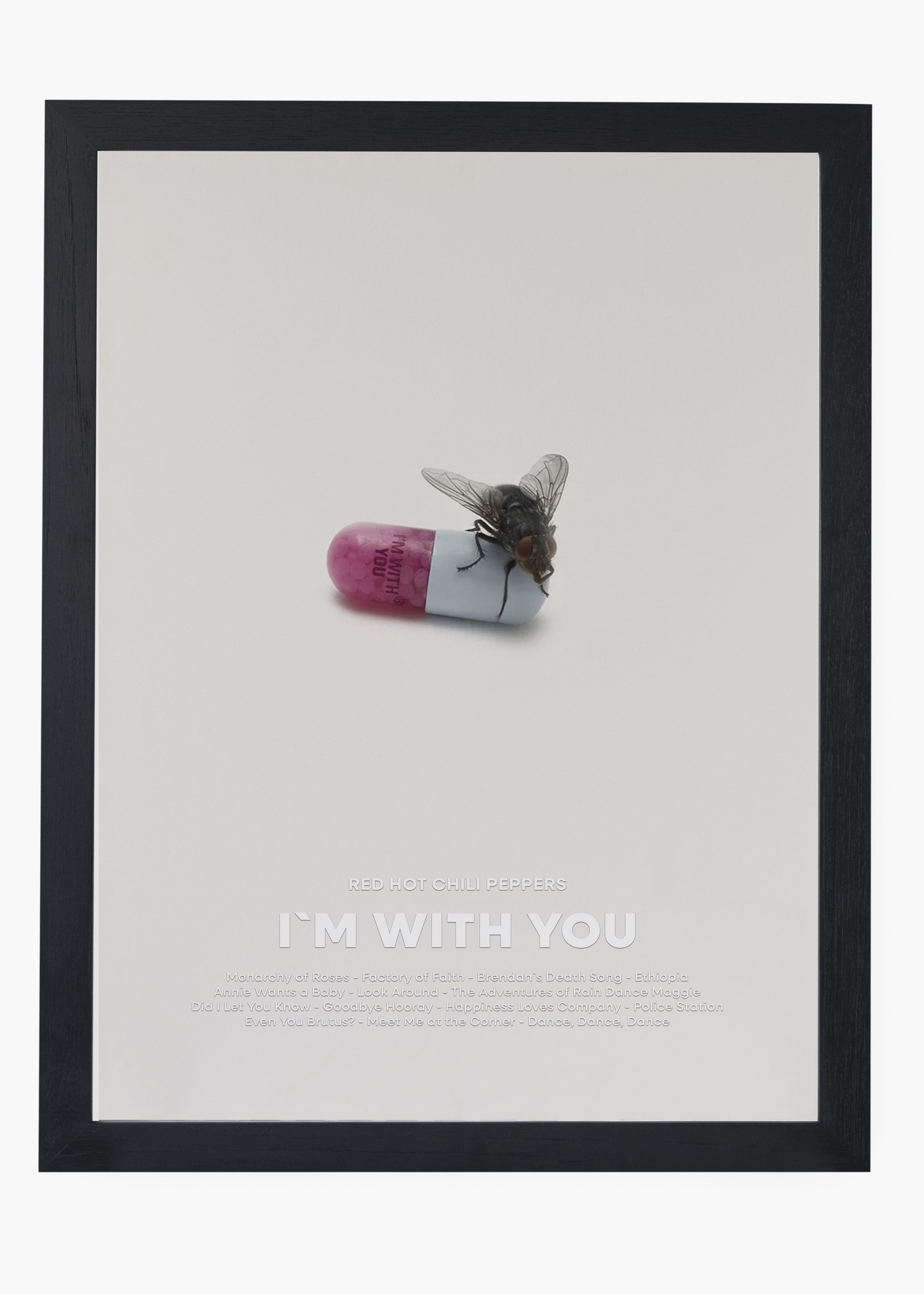 Quadro Red Hot Chili Peppers I'm With You Capa