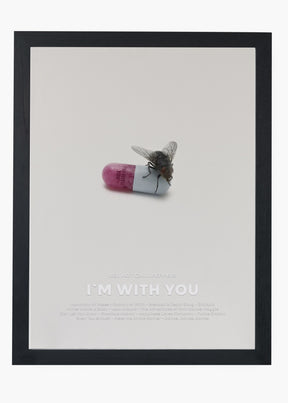 Quadro Red Hot Chili Peppers I'm With You Capa