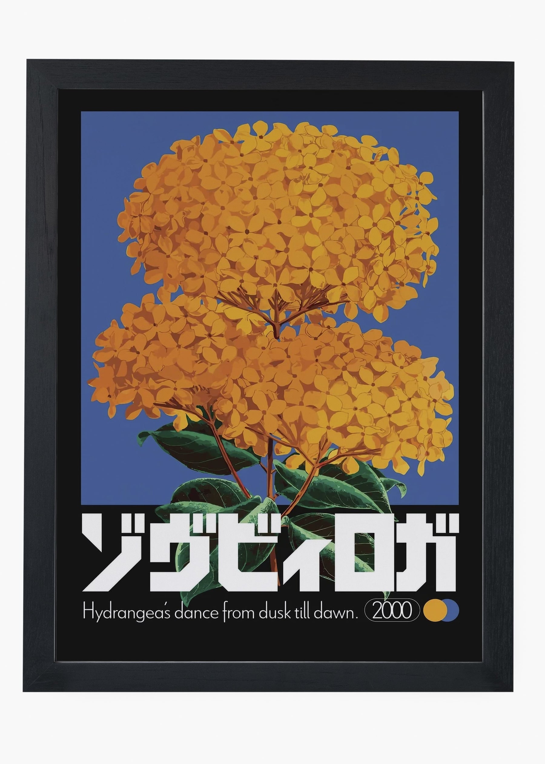 Quadro Hydra
