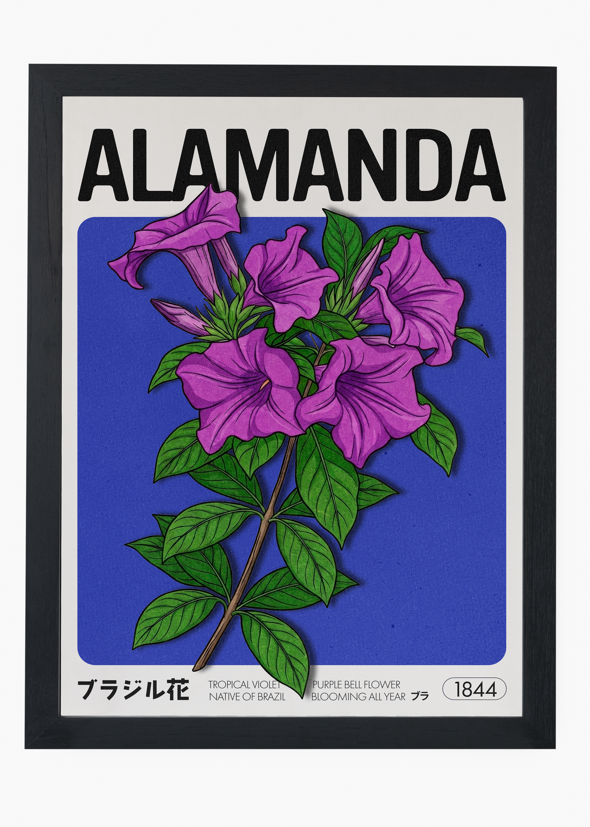 Quadro Alamanda - 4