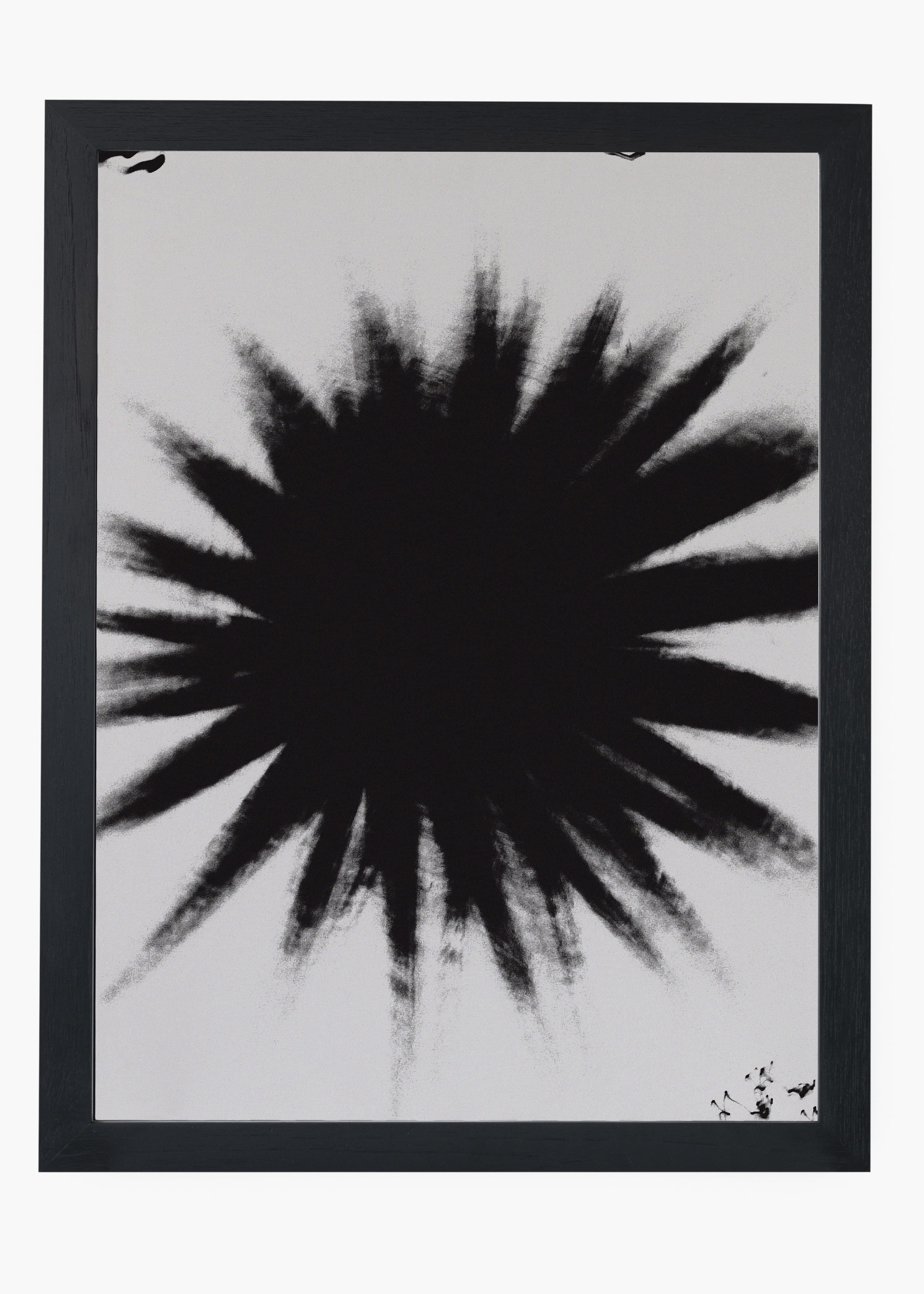 Quadro Star
