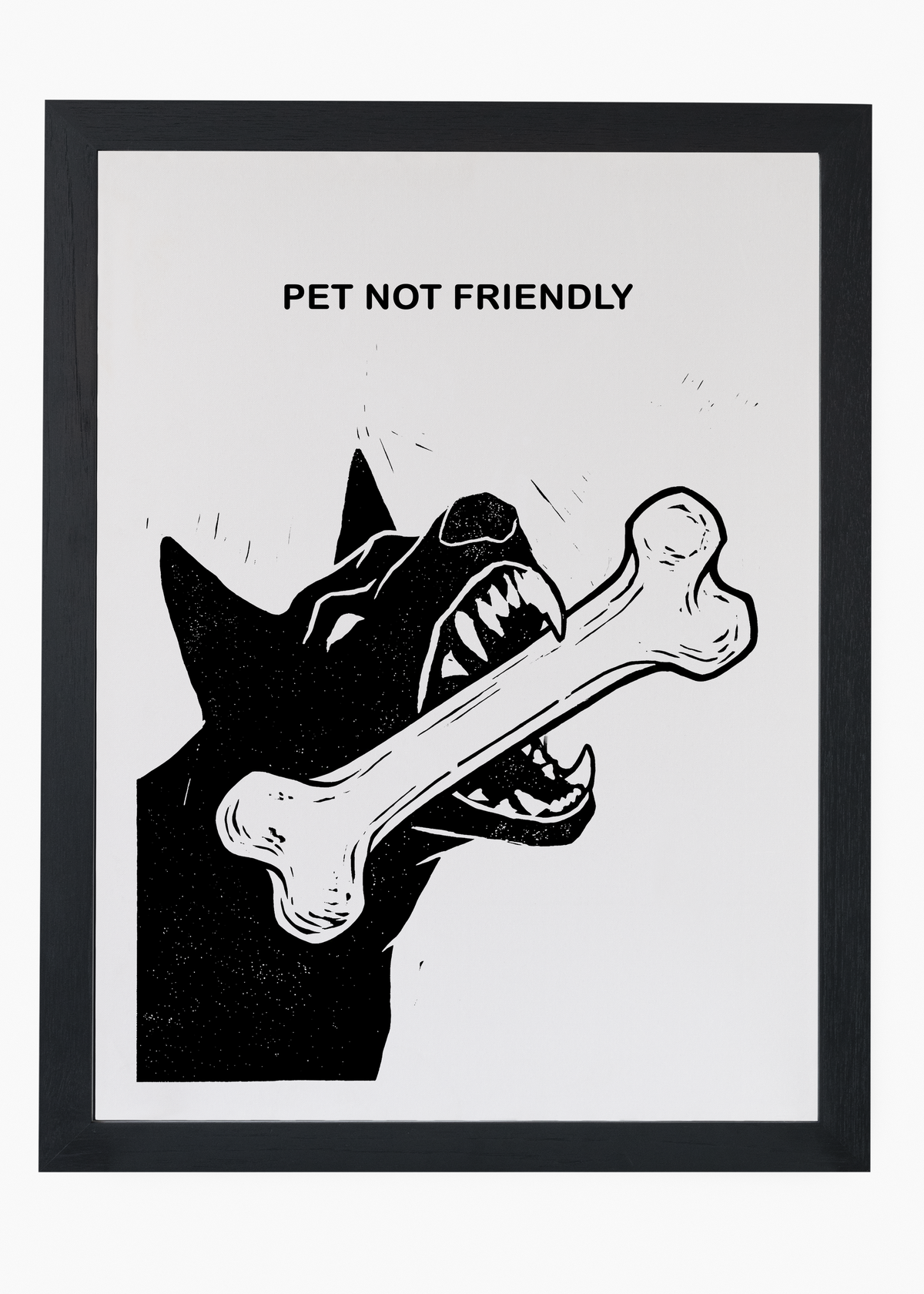 Quadro Pet Not Friendly - 4