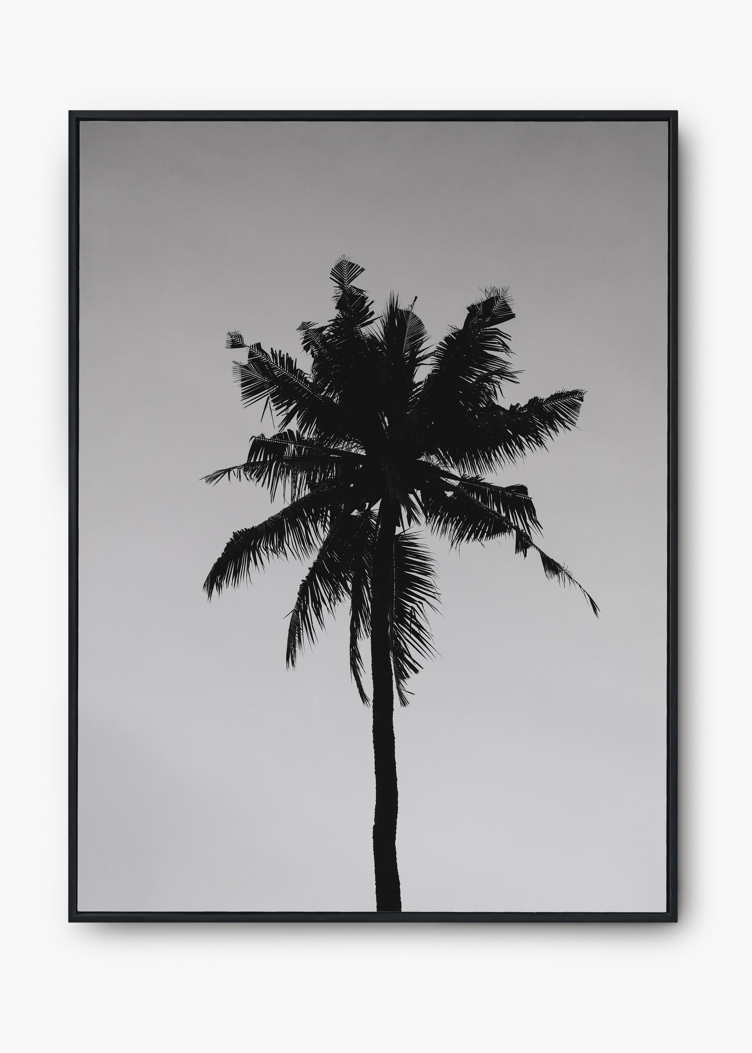 Quadro Sea Nature II