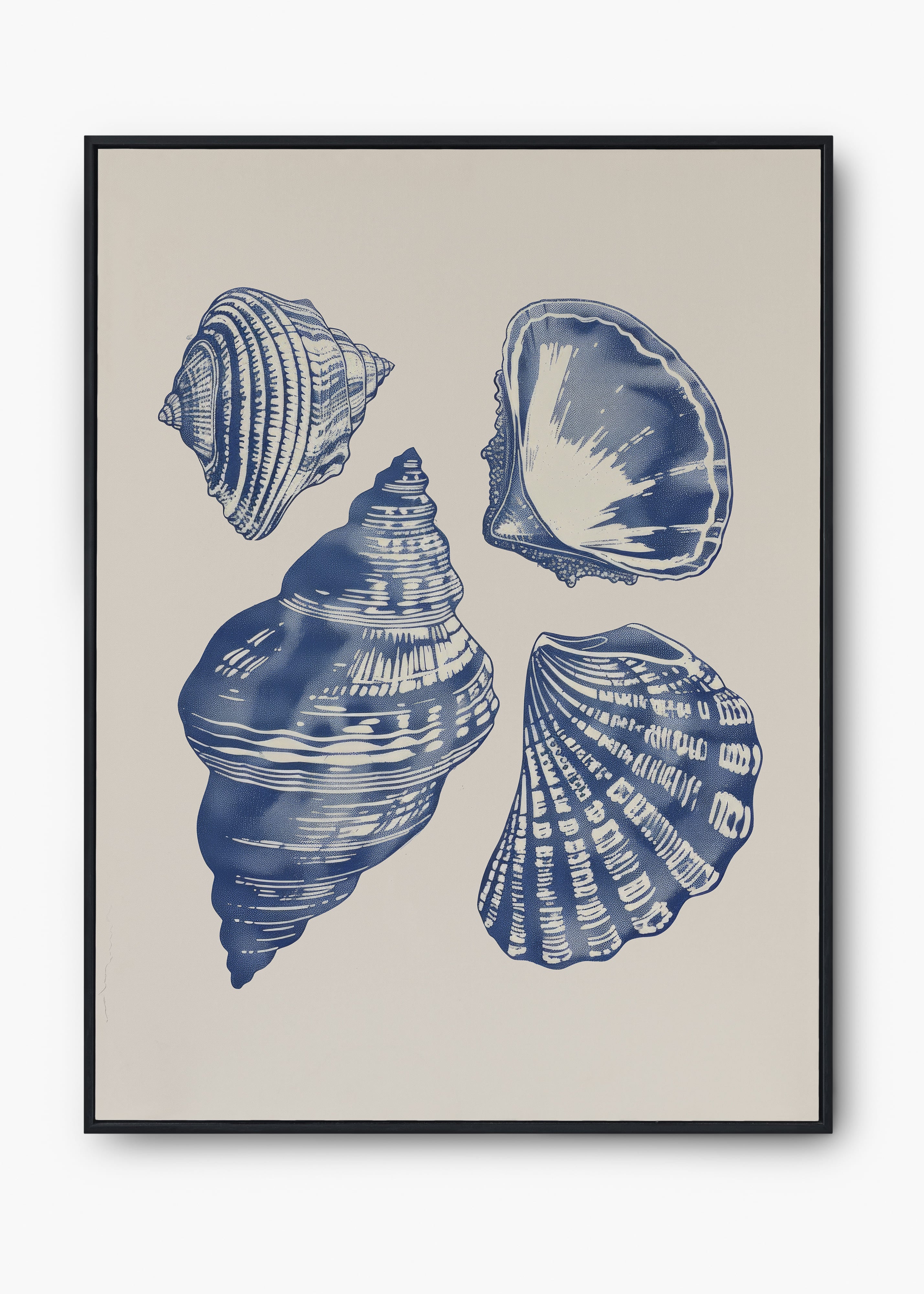 Quadro Shells II
