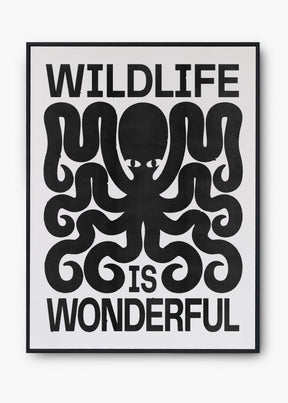 Quadro Confusing Wild