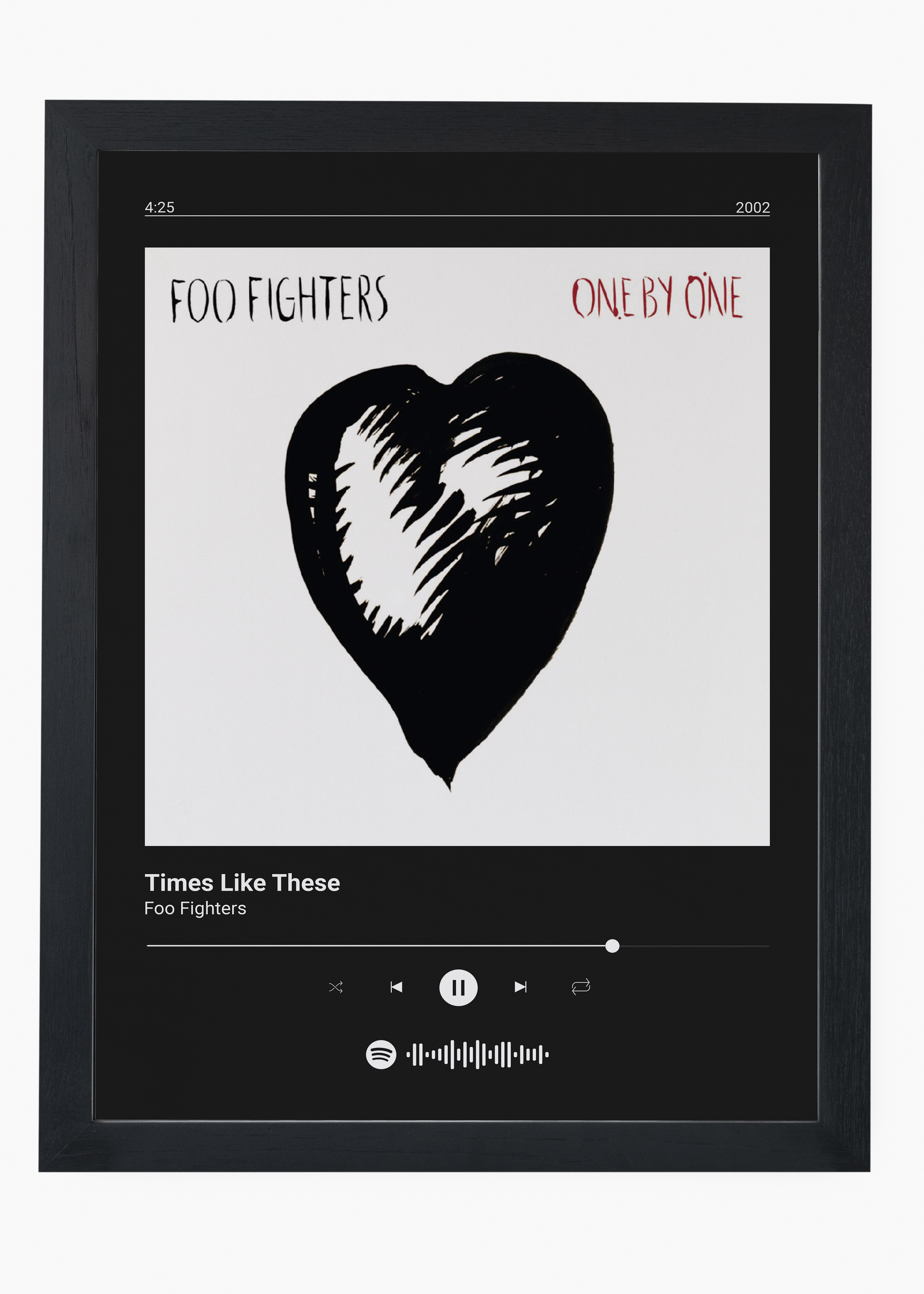 Quadro Foo Fighters Times Like These - 4