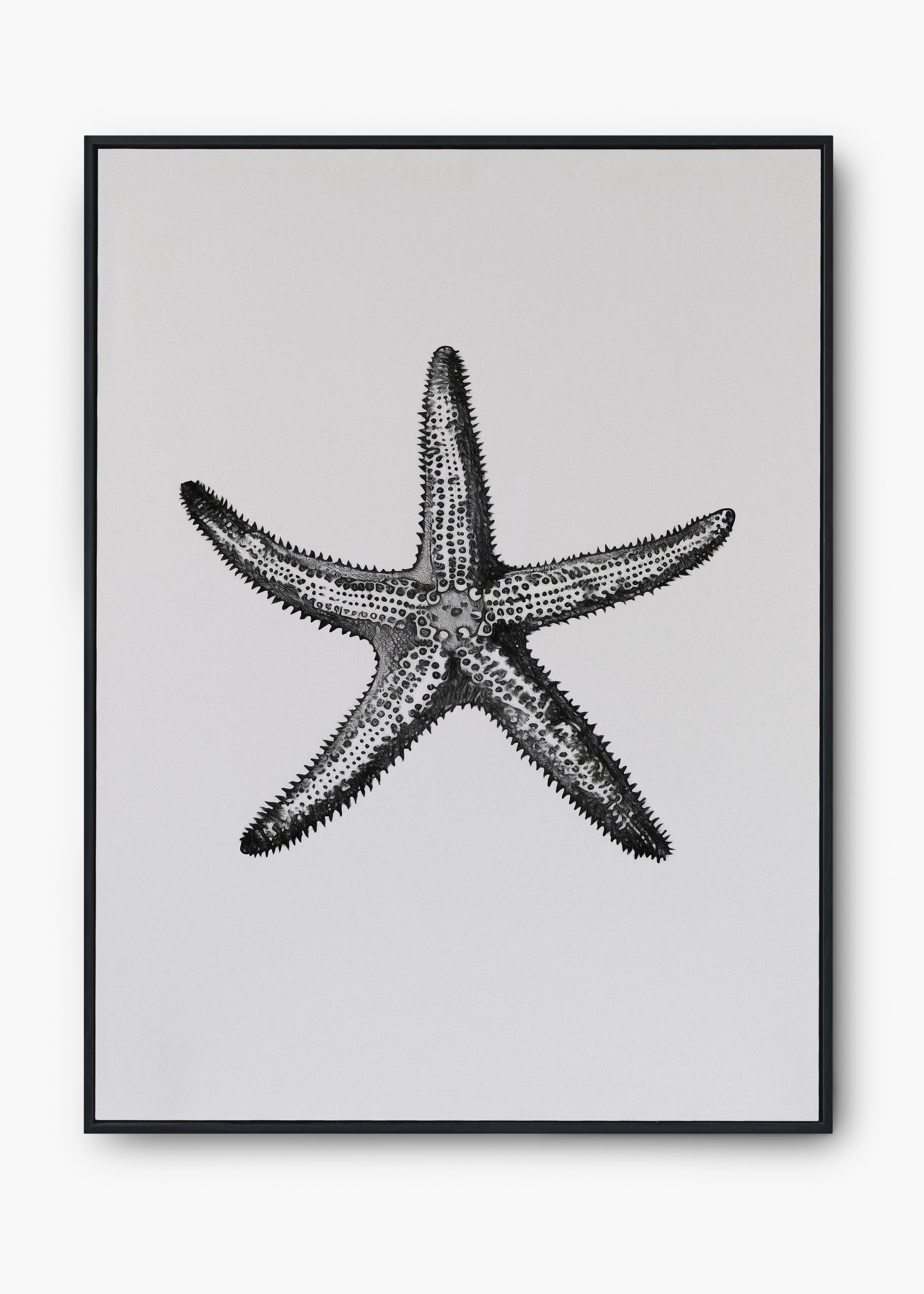 Quadro Starfish