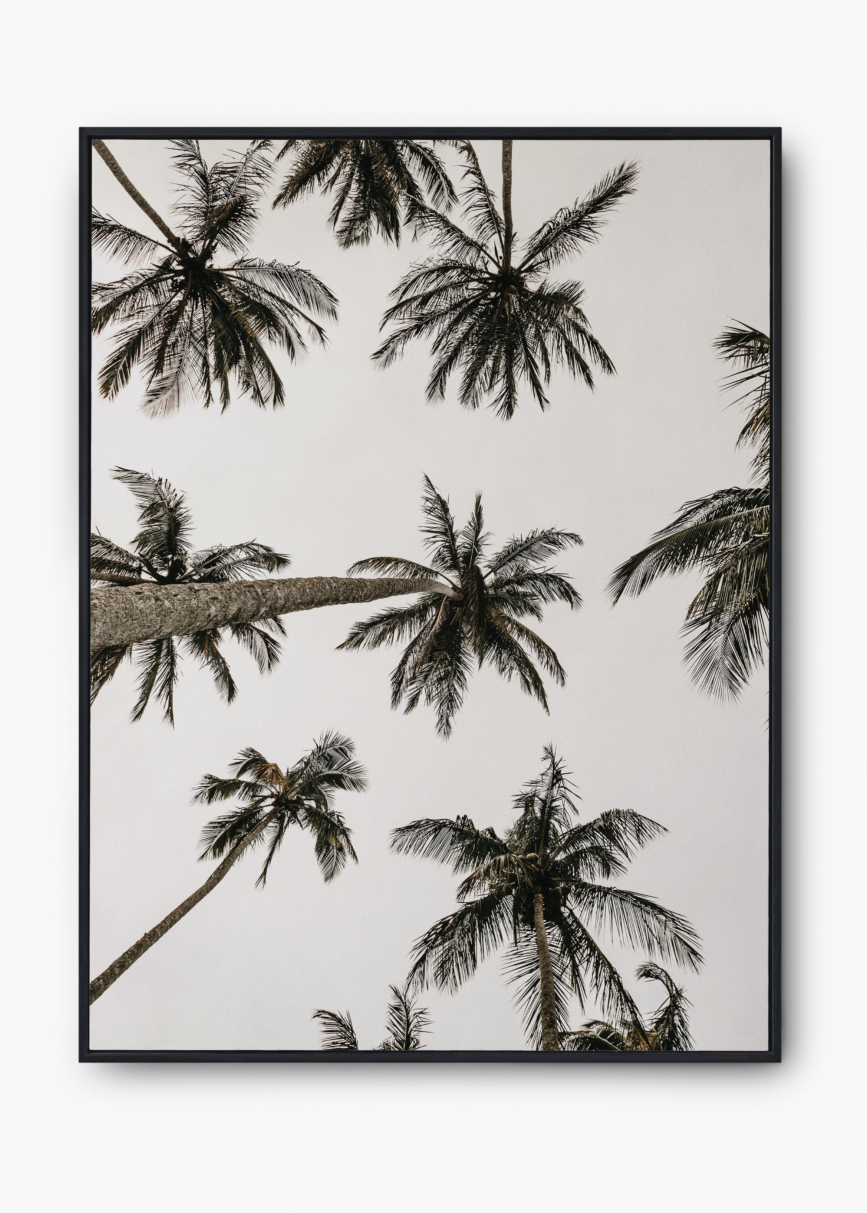 Quadro Sea Nature I