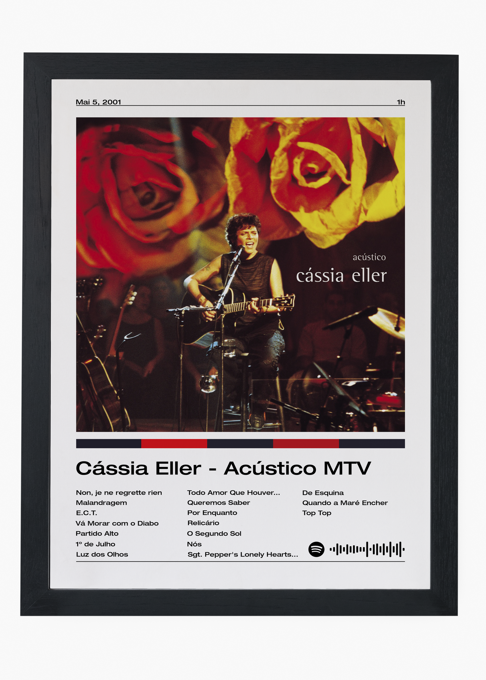 Quadro Cássia Eller Acústico MTV - 4