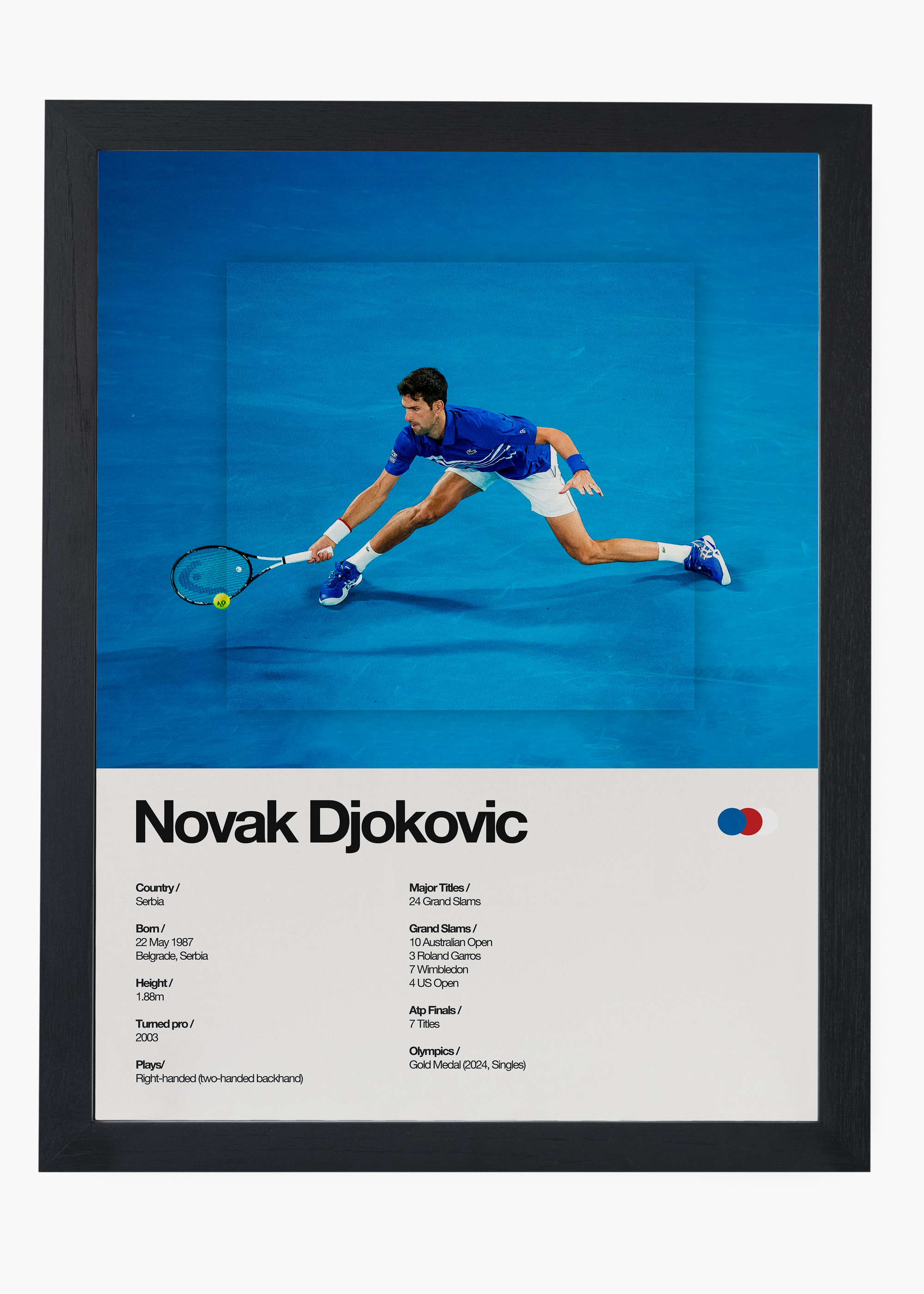 Quadro Novak Djokovic - 4