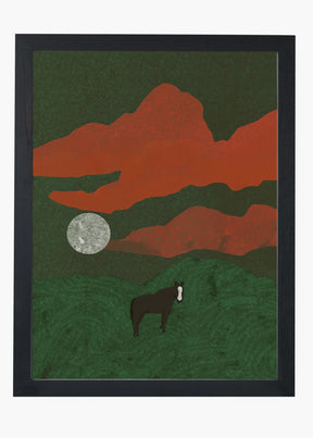 Quadro Field