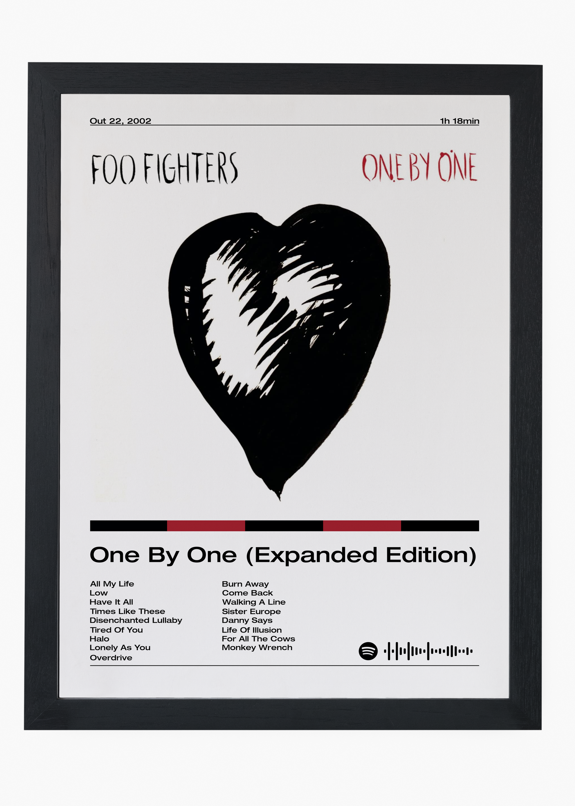 Quadro Foo Fighters One by One (Expanded Edition) - 4