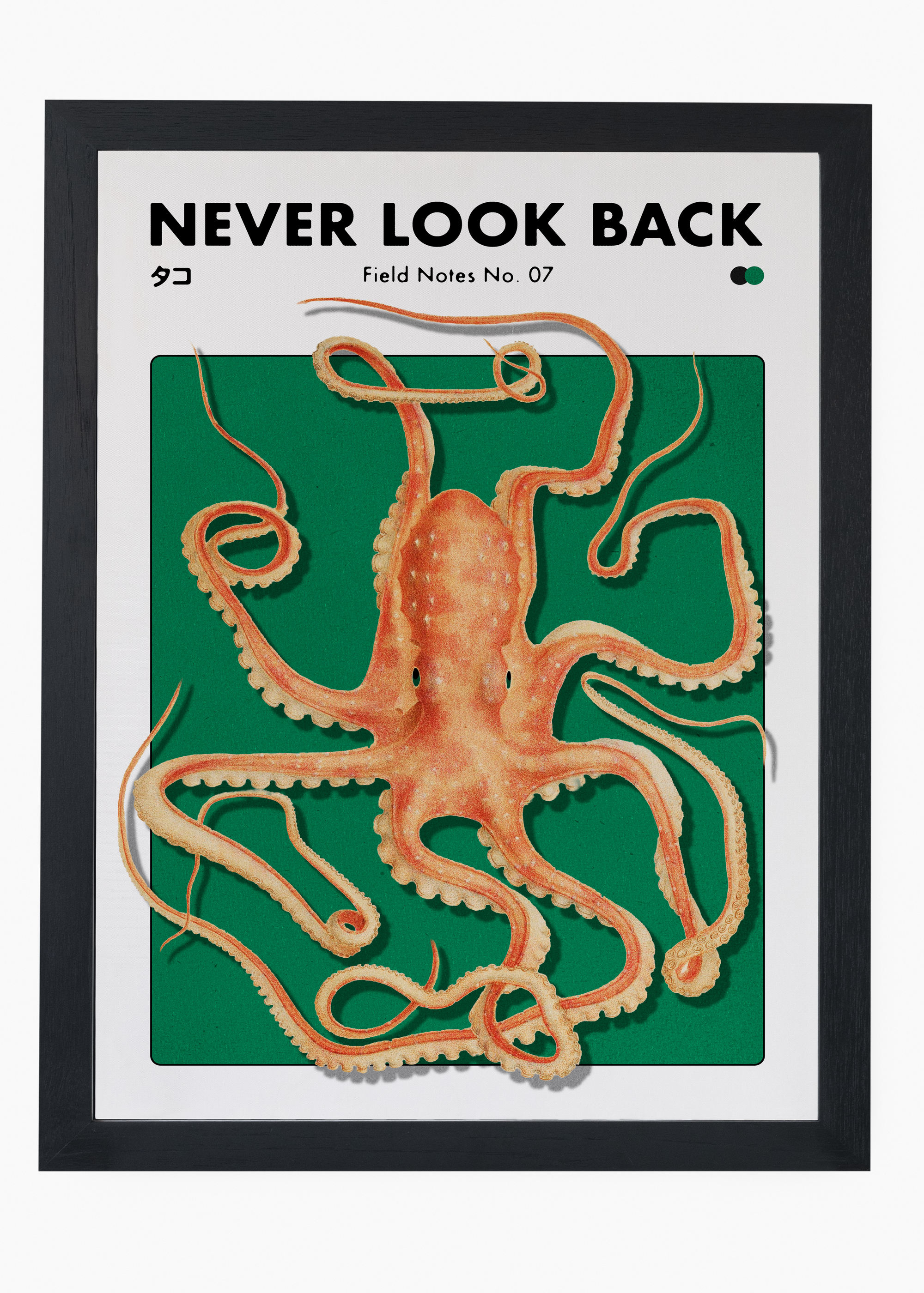 Quadro Never Look Back - 4