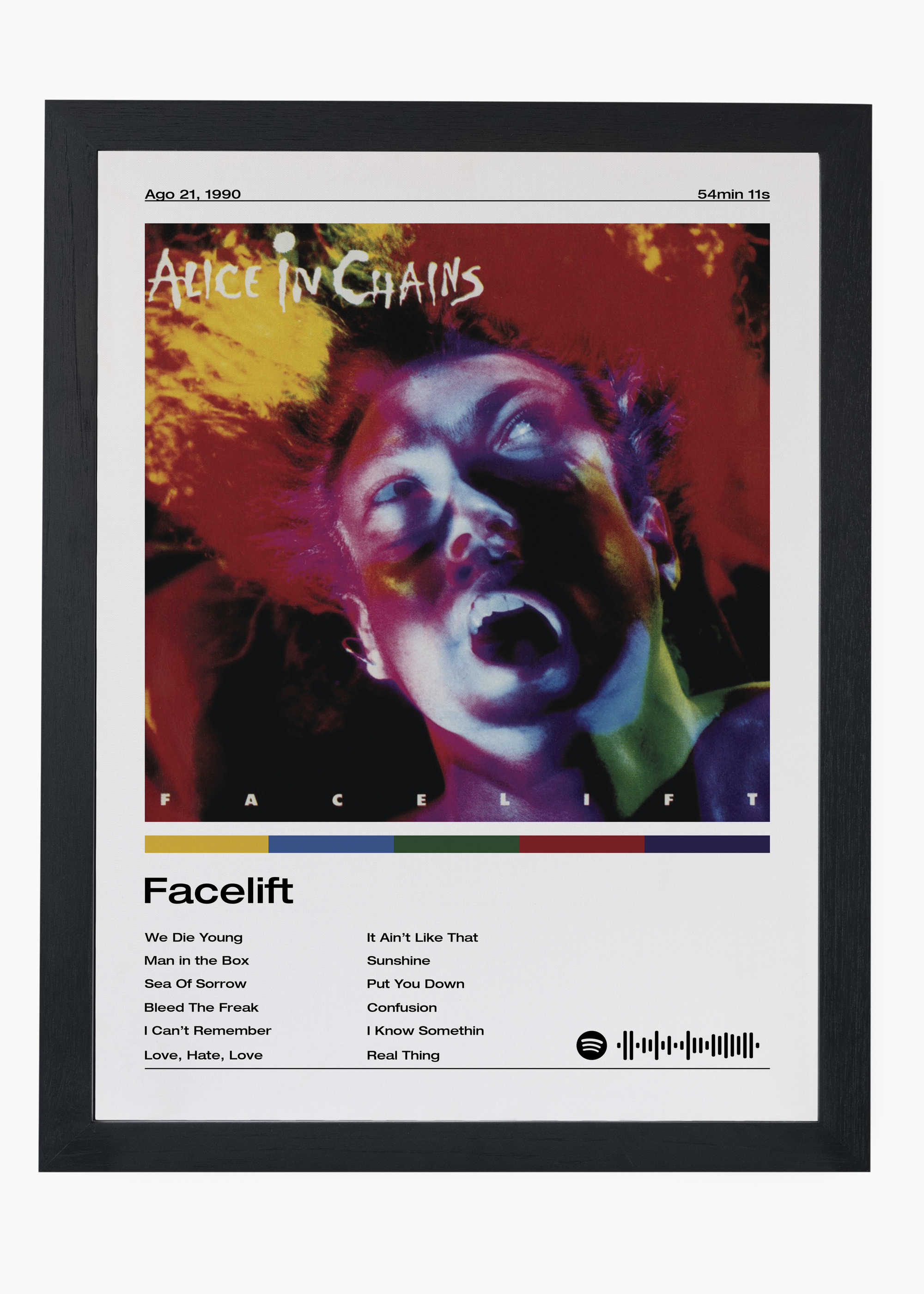 Quadro Alice in Chains Facelift - 4
