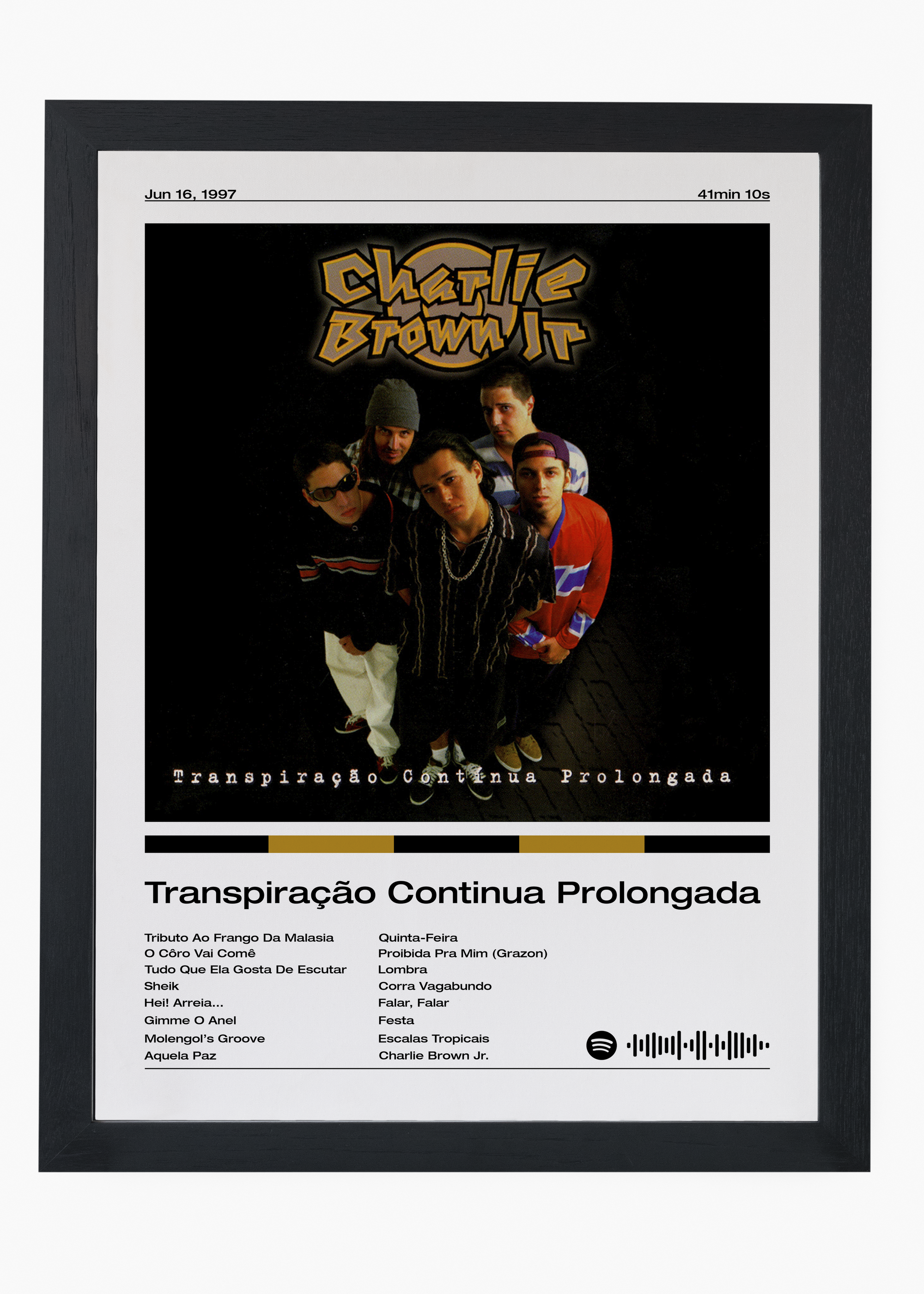 Quadro Charlie Brown Jr. Transpiração Continua Prolongada - 4